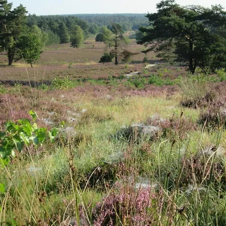 Dehnsen * Amelinghausen