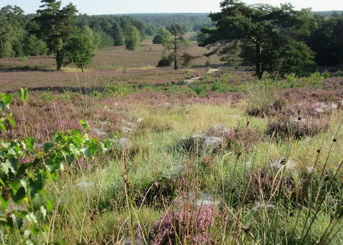 Dehnsen * Amelinghausen