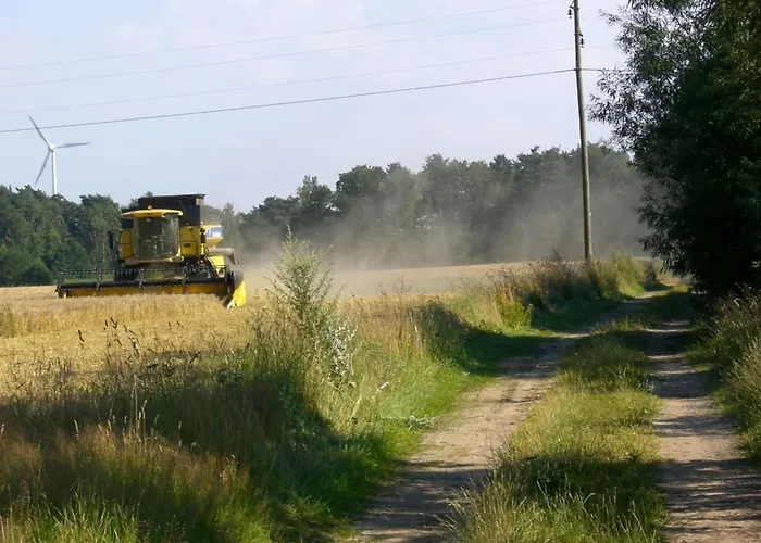 Dehnsen Amelinghausen